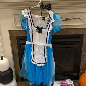 Alice and Wonderland Costume Dress and Headband Size Adult M